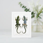 Sceloporus asper briefkaart (Staand voorkant)