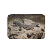 Sceloporus cyanogene badmat (Voorkant)
