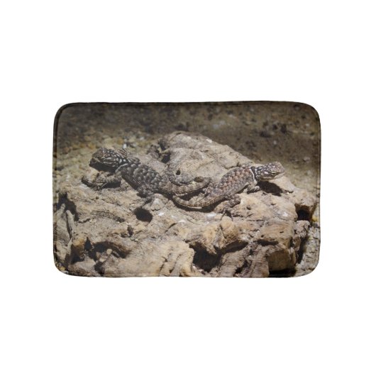 Sceloporus cyanogene badmat (Voorkant)
