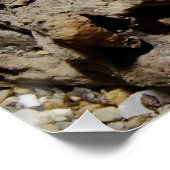 Sceloporus cyanogene poster (Hoek)
