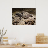 Sceloporus cyanogene poster (Keuken)