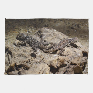 Sceloporus cyanogene theedoek