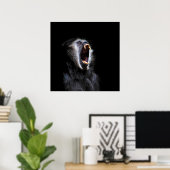 Scenary Black Gibbon Monkey Vicious Fanged Teeth Poster (Thuiskantoor)