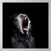 Scenary Black Gibbon Monkey Vicious Fanged Teeth Poster (Voorkant)
