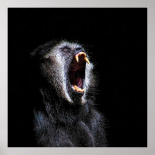 Scenary Black Gibbon Monkey Vicious Fanged Teeth Poster