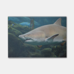 Scenary Great White Shark Post-it® Notes