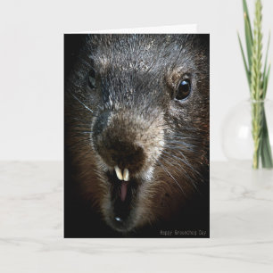 Scenary Groundhog Day Card Feestdagen Kaart