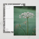 Scène 3 briefkaart (Voorkant / Achterkant)