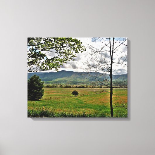 Scene Canvas, gebergte in Noord-Georgië Canvas Afdruk (Voorkant)