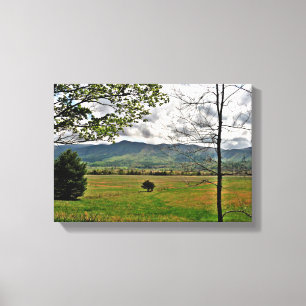 Scene Canvas, gebergte in Noord-Georgië Canvas Afdruk