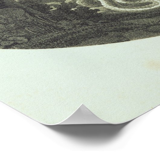 Scene from 'The Magic Flute' by Mozart Poster (Hoek)