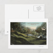 Scene in Busch Sunken Gardens Briefkaart (Voorkant / Achterkant)