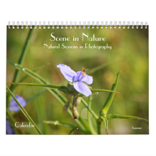 Scène in Natuur Seizoenen in Fotografiekalender Kalender