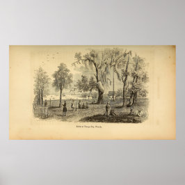 Scène in Tampa Bay Poster