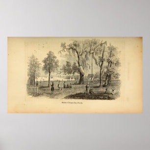 Scène in Tampa Bay Poster