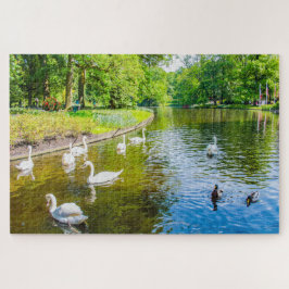Scene met zwanen uit Keukenhof Park, Nederland Legpuzzel