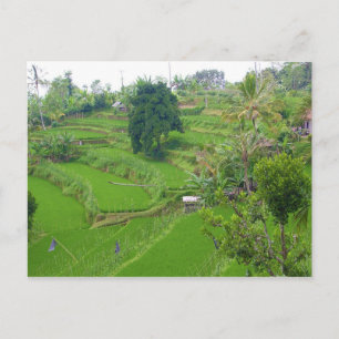 Scene of Bali Briefkaart