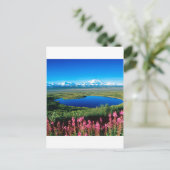 Scene Tundra Mount Mckinley Denali Alaska Briefkaart (Staand voorkant)