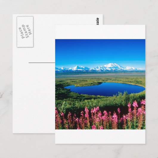 Scene Tundra Mount Mckinley Denali Alaska Briefkaart (Voorkant / Achterkant)