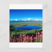 Scene Tundra Mount Mckinley Denali Alaska Briefkaart (Voorkant)