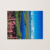 Scene Tundra Mount Mckinley Denali Alaska Legpuzzel (Horizontaal)