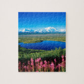 Scene Tundra Mount Mckinley Denali Alaska Legpuzzel (Verticaal)