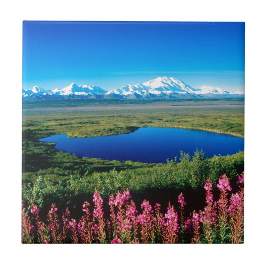 Scene Tundra Mount Mckinley Denali Alaska Tegeltje (Voorkant)
