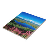Scene Tundra Mount Mckinley Denali Alaska Tegeltje (Zijkant)