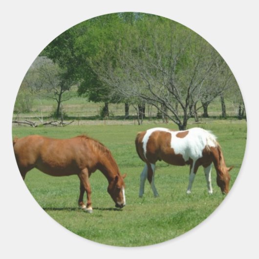 Scene voor graaspaarden ronde sticker (Voorkant)