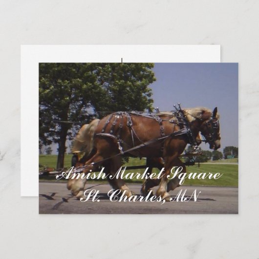 Scenery Briefkaart (Voorkant / Achterkant)