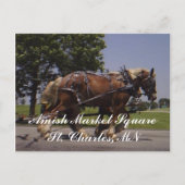 Scenery Briefkaart (Voorkant)