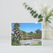 Scenery of Rose Garden ポストカード Briefkaart (Staand voorkant)
