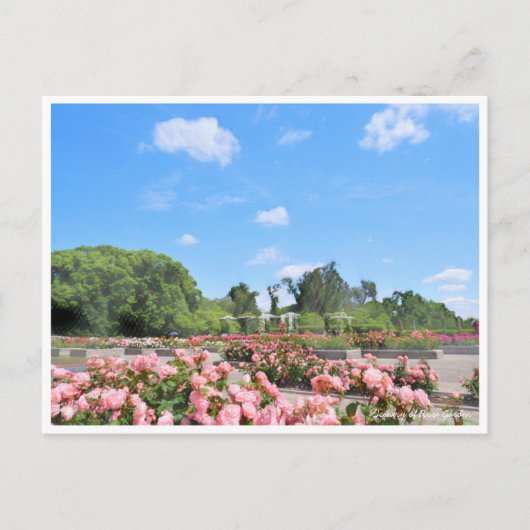 Scenery of Rose Garden Briefkaart (Voorkant)