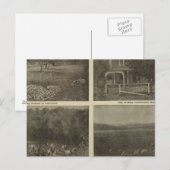 Scenes Inland Empire Briefkaart (Voorkant / Achterkant)