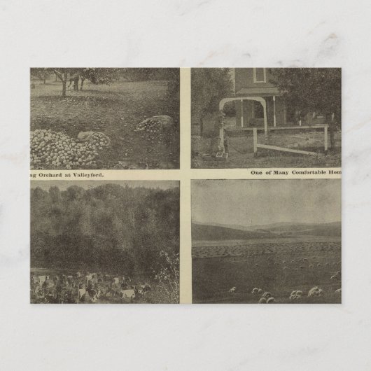 Scenes Inland Empire Briefkaart (Voorkant)