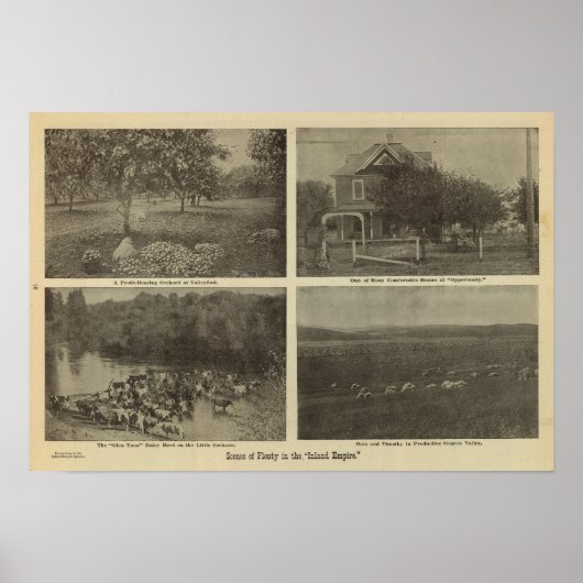 Scenes Inland Empire Poster (Voorkant)