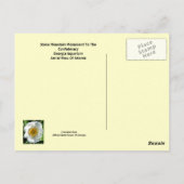 Scenes of Atlanta, Georgia Briefkaart (Achterkant)