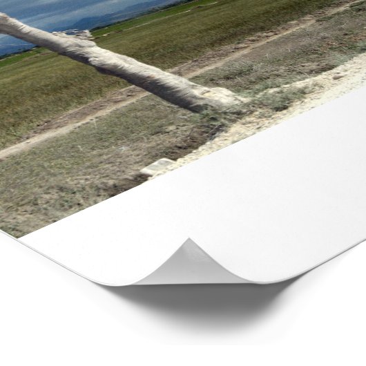 Scenes of Haiti Poster (Hoek)