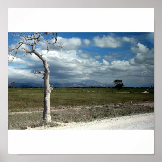 Scenes of Haiti Poster (Voorkant)