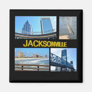Scenes of Jacksonville, Florida Magneet