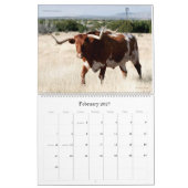 Scenes of Texas 2021 Kalender (Feb 2027)
