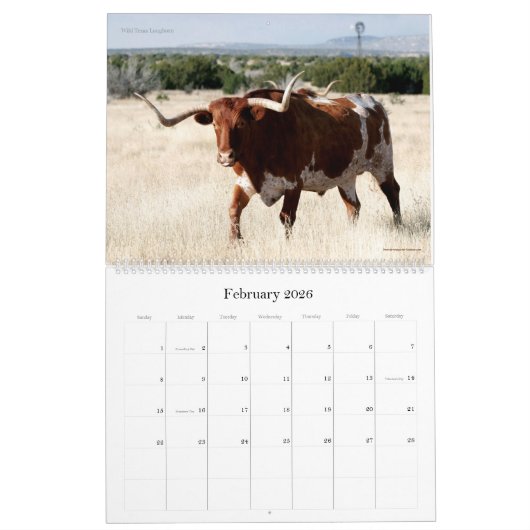 Scenes of Texas 2021 Kalender (Feb 2026)