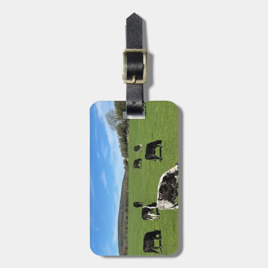 Scènes uit het Ierse Bagagelabel (Voorkant verticaal)