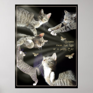 Scènes uit het leven van een Happy Cat Poster