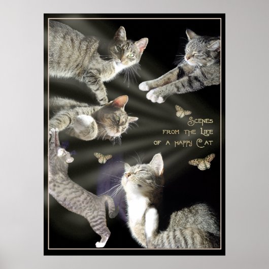 Scènes uit het leven van een Happy Cat Poster (Voorkant)