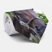 Scènes uit Saratoga Stropdas (Opgerold)