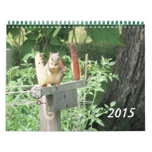 Scènes van de Kalender van de Natuur