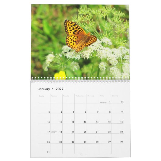 Scènes van een bloeiende tuin kalender (Jan 2027)