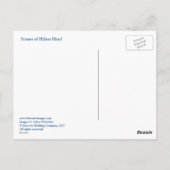 Scènes van Hilton Head Briefkaart (Achterkant)