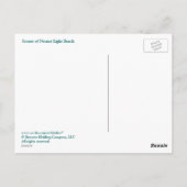 Scènes van Nauset Light Beach Briefkaart (Achterkant)